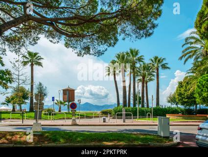 Parco fantastico nella parte sinistra della Croisette con pini e palme a Cannes . Auto nel parcheggio. Estate! Un uomo (in distanza) prende uno Sho Foto Stock