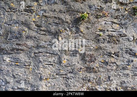 Vecchio muro di pietra inglese texture. Foto Stock