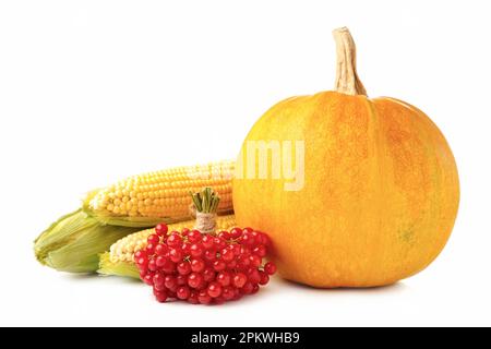 Composizione autunnale con zucca autunnale, mais e viburno isolati su bianco. Vista dall'alto Foto Stock