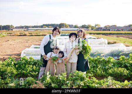 Famiglia giapponese che lavora in orto Foto Stock