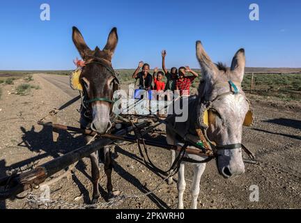 Ragazzi su un carrello di asini mi hanno fatto un'onda sulla strada di ghiaia tra i villaggi di Mier e Klein Mier nella provincia del Capo Settentrionale del Sud Africa. Foto Stock