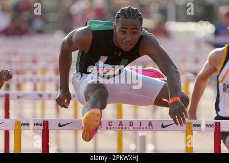 Davis Davis-Lyric di Upland vince i 110 m ostacoli nel 13,85 durante l'Arcadia Invitational High School Meeting, sabato 8 aprile 2023, ad Arcadia Foto Stock