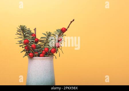 Bouquet di abeti nobiliti e rami di uva spina in vaso d'annata di fronte a fondo dorato. Posiziona per testo. Foto Stock