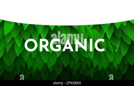 Sfondo con foglie. Concetto di ecologia. Illustrazione vettoriale Illustrazione Vettoriale