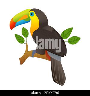 Illustrazione vettoriale di un toucan seduto su un ramo, isolato su uno sfondo bianco Illustrazione Vettoriale