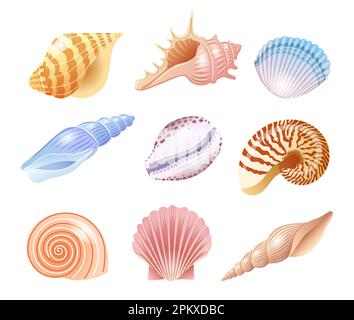 Set di illustrazioni di conchiglie di mare di vario tipo in tonalità delicate Illustrazione Vettoriale