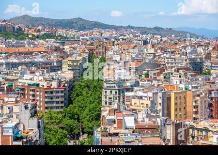 Vista sulle case della città, dalla torre della Sagrada Familia, Av. De Gaudi con Museo Recinte modernista de Sant Pau, Barcellona Foto Stock