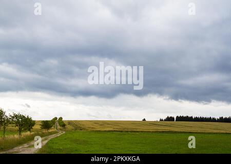 Campo sentiero verso il cielo Foto Stock