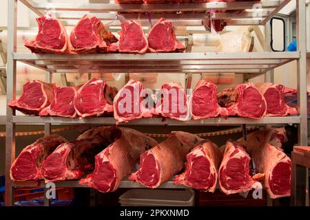 Giunture di controclombo di manzo in macello, Yorkshire, Inghilterra, Regno Unito Foto Stock