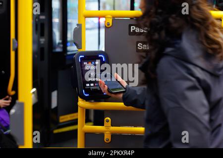 Una persona tocca uno smartphone a un lettore di pagamenti senza contatto OMNY su un autobus NYC Transit. Il lettore accetta pagamenti EMV tramite NFC Foto Stock