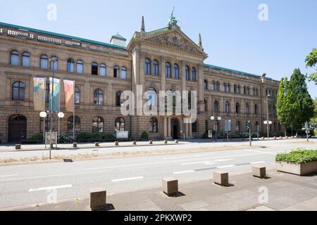 Museo Alexander Koenig, Bonn, Renania settentrionale-Vestfalia, Germania Foto Stock