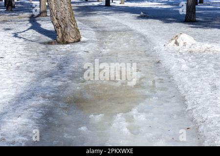 il percorso nel parco è coperto di pozzanghere in inverno. parcheggia all'inizio della primavera. neve sciolta sul sentiero nel parco Foto Stock