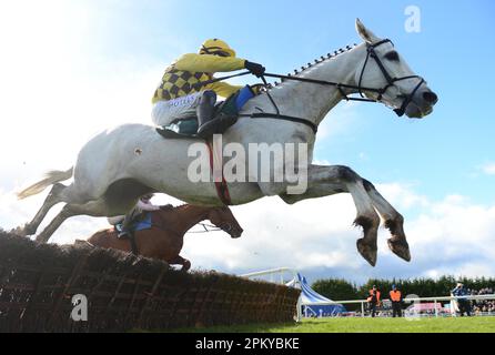 Asterion Fellonge guidato da Paul Townend vincere il Rathbarry e Glenview stoes ostacolo all'ippodromo Fairyhouse nella contea di Meath, Irlanda. Data immagine: Lunedì 10 aprile 2023. Foto Stock