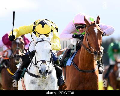 Asterion Forlonge guidato da Paul Townend (a sinistra) batte Monkfish guidato da Danny Mullins per vincere il Rathbarry e Glenview stoes hindle al Fairyhouse Racecourse nella contea di Meath, Irlanda. Data immagine: Lunedì 10 aprile 2023. Foto Stock