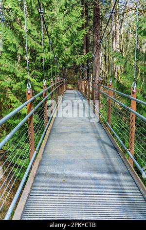 Una vista o una passeggiata sospensione brdige al Bellevue Botanical Garden nello Stato di Washington. Foto Stock