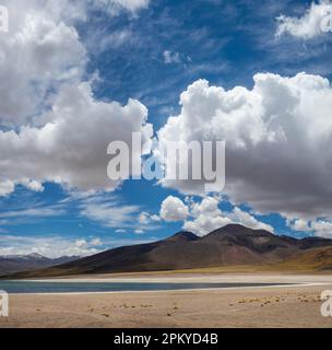 Il paesaggio del lago Miscanti, del deserto di Atacama, del Cile. Foto Stock