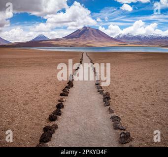 Il paesaggio del lago Miscanti, del deserto di Atacama, del Cile. Foto Stock