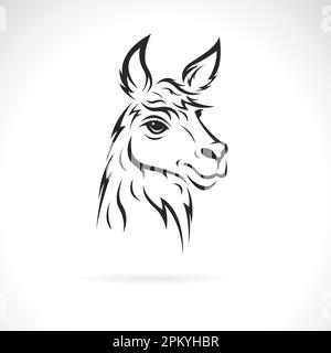 Vettore di un disegno di testa di lama su sfondo bianco. Illustrazione vettoriale a strati facilmente modificabile. Animali selvatici. Illustrazione Vettoriale