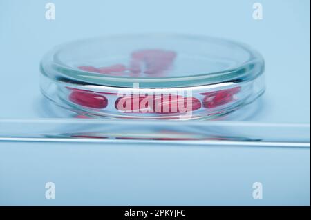 Capsule traslucide rosse di gelatina molle con vitamine liposolubili o omega all'interno di una capsula di Petri, isolate su blu Foto Stock