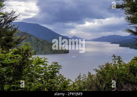 Pelorus Sound dal punto panoramico Mahaki Paoa su Cullen Point, Marlborough Sounds, South Island, Nuova Zelanda Foto Stock