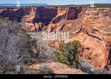 Guardando verso il Canyon de Chelly da Spider Rock Overlook, South Rim Drive, Canyon de Chelly National Monument, Chinle, Arizona. Foto Stock