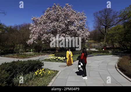 New York, Stati Uniti. 10th Apr, 2023. I turisti provenienti da Los Angeles, California, fotografano i giardini del Conservatorio di Central Park lunedì 10 aprile 2023 a New York. Foto di Peter Foley/UPI Credit: UPI/Alamy Live News Foto Stock