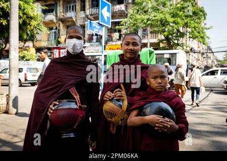 Yangon, Myanmar. 3rd Apr, 2023. Monaci raccogliere le elemosine sulla strada in Yangon. Il 1 febbraio 2021, il governo della giunta militare (Tatmadaw) ha preso il potere con il colpo di stato, incarcerando il governo della NLD (Lega Nazionale per la democrazia) democraticamente eletto e gettando il paese in una crisi umanitaria in corso, descritta da molti come una guerra civile o l'rivolta popolare. (Credit Image: © Matt Hunt/SOPA Images via ZUMA Press Wire) SOLO PER USO EDITORIALE! Non per USO commerciale! Foto Stock