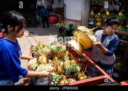 Yangon, Myanmar. 3rd Apr, 2023. I lavoratori preparano cestini di banane fuori da un tempio davanti a Thingyan, il festival birmano del nuovo anno. Il 1 febbraio 2021, il governo della giunta militare (Tatmadaw) ha preso il potere con il colpo di stato, incarcerando il governo della NLD (Lega Nazionale per la democrazia) democraticamente eletto e gettando il paese in una crisi umanitaria in corso, descritta da molti come una guerra civile o l'rivolta popolare. (Credit Image: © Matt Hunt/SOPA Images via ZUMA Press Wire) SOLO PER USO EDITORIALE! Non per USO commerciale! Foto Stock