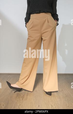 Modello femminile che indossa pantaloni beige casual elegante e alto. Foto da studio. Foto Stock