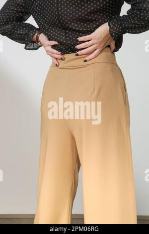 Modello femminile che indossa pantaloni beige casual elegante e alto. Foto da studio. Foto Stock