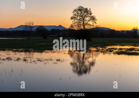 Prato allagato al tramonto con riflessi nell'acqua. Alsazia, Francia. Foto Stock