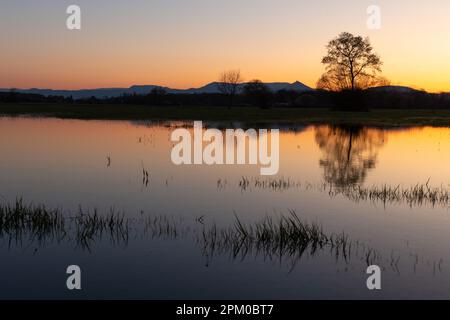 Prato allagato al tramonto con riflessi nell'acqua. Alsazia, Francia. Foto Stock