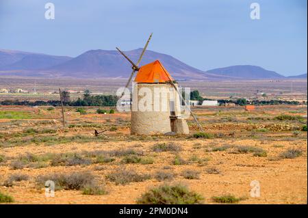 Vecchio mulino a vento tradizionale a grano delle Canarie vicino al villaggio di Antigua, paesaggio di campagna dell'isola di Fuerteventura, isole Canarie, Spagna Foto Stock