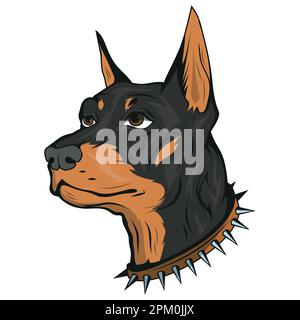Doberman. Illustrazione vettoriale di animale domestico purefatto. Testa di cane con colletto a punta. Illustrazione Vettoriale