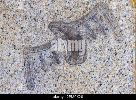 Scultura in pipistrello di pietra nella sala d'ingresso del Tempio di Thian Hock Keng, Singapore Foto Stock