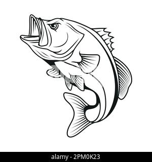 Pesce persico. Disegno di illustrazione vettoriale di pesce persico di largemouth Illustrazione Vettoriale