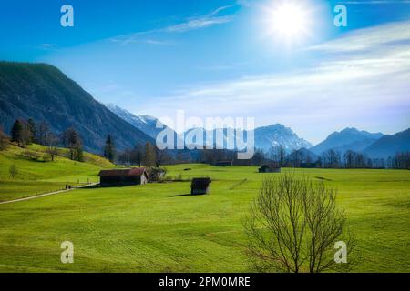 DE - BAVIERA: Vista verso il 'Werdenfelser Land' dal Murnau Moos (Moor) vicino Ohlstadt. Il Monte Zugspitze è visibile in lontananza. Foto Stock