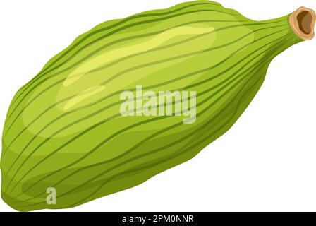cartoni animati verde cardamomo Illustrazione Vettoriale