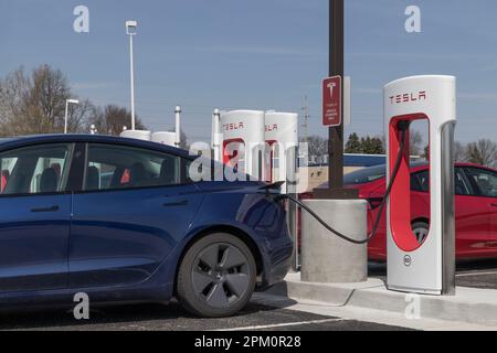 Lafayette - circa aprile 2023: Ricarica di veicoli elettrici Tesla EV. I prodotti Tesla includono auto elettriche, stoccaggio dell'energia delle batterie e pannelli solari. Foto Stock