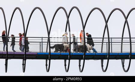 Oberhausen, NRW, 10th aprile 2023. Due camminatori attraversano il ponte con i loro tre grandi e soffici cani di razza Old English Sheepdog. Gli escursionisti potranno godersi un lunedi pasquale, prevalentemente soleggiato e mite, sul famoso ponte "Slinky Springs to Fame" di Oberhausen. Il ponte pedonale, lungo 406 metri e che attraversa il canale Reno-Herne, è stato progettato dall'artista Tobias Rehberger. È illuminato di notte e si dice che sia stato ispirato dal giocattolo slinky. Credit: Imageplotter/Alamy Live News Foto Stock