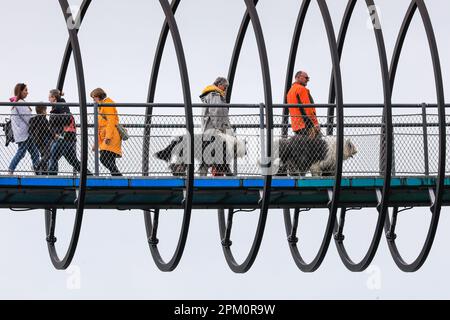 Oberhausen, NRW, 10th aprile 2023. Due camminatori attraversano il ponte con i loro tre grandi e soffici cani di razza Old English Sheepdog. Gli escursionisti potranno godersi un lunedi pasquale, prevalentemente soleggiato e mite, sul famoso ponte "Slinky Springs to Fame" di Oberhausen. Il ponte pedonale, lungo 406 metri e che attraversa il canale Reno-Herne, è stato progettato dall'artista Tobias Rehberger. È illuminato di notte e si dice che sia stato ispirato dal giocattolo slinky. Credit: Imageplotter/Alamy Live News Foto Stock