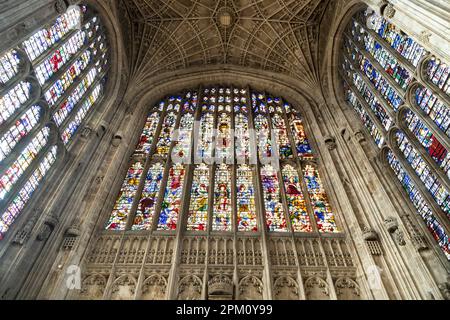 Vetrate interne della King's College Chapel presso la Cambridge University, Cambridge, Regno Unito Foto Stock