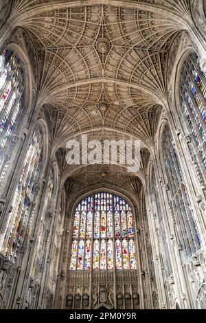 Finestre interne in vetro colorato e soffitto a volta a ventaglio della King's College Chapel presso la Cambridge University, Cambridge, Regno Unito Foto Stock