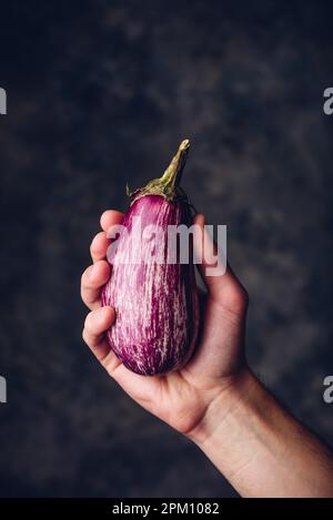 Melanzana viola fresca in mano su sfondo scuro Foto Stock