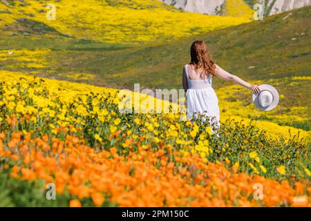 Donna in un vestito bianco che cammina tra un bel prato pieno di fiori selvatici gialli e arancioni. Foto Stock