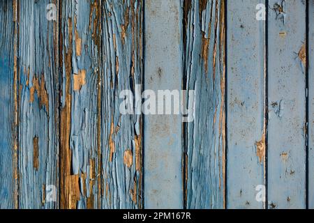 Dettaglio della vernice blu sbucciata su porta verticale del garage in legno trascurato a Netherbury, Bridport, Dorset, Regno Unito Foto Stock