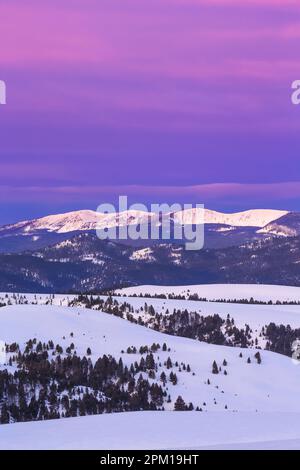 cielo prima dell'alba sulle montagne di zaffiro e le colline ai piedi in inverno vicino philipsburg, montana Foto Stock