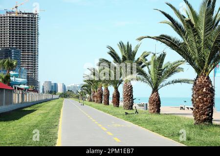 Pista ciclabile con linee di demarcazione gialle dipinte su asfalto Foto Stock