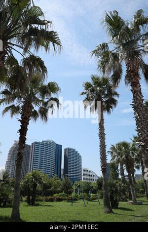 BATUMI, GEORGIA - 10 GIUGNO 2022: Paesaggio urbano con edifici moderni e palme Foto Stock