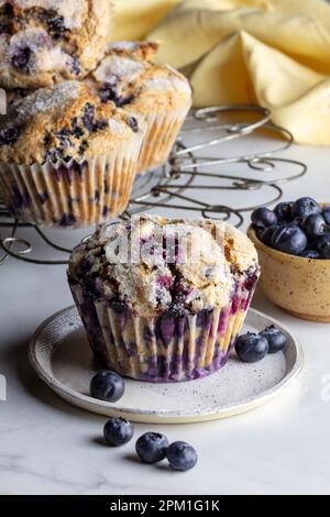 Muffin ai mirtilli con mirtilli freschi Foto Stock